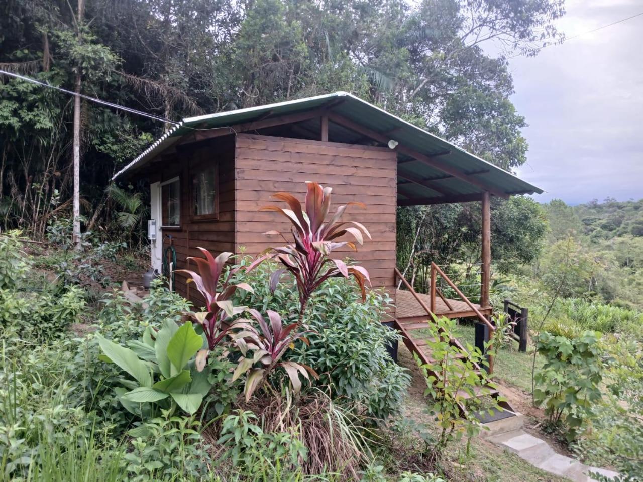 Cabana Manaca Da Serra Morretes Extérieur photo